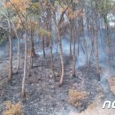 금정농장(2) 이미지