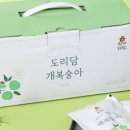 도리담
