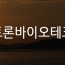 (주)인트론바이오테크놀로지 이미지