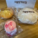 강진맛김