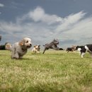 베이지동물병원 이미지