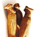 강화인삼협동조합 이미지