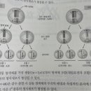 상동염색체 2^23 ?? 이미지