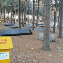 유명산자연휴양림 이미지