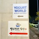 요거트월드풍세점
