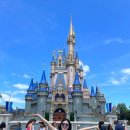 주식회사 하나월드 | [미국] 올랜도 디즈니월드 매직킹덤 4월 후기_입장하는 방법, 트론 후기, 포토존, 불꽃놀이 명당 및 꿀팁