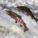 회귀-모정 이미지