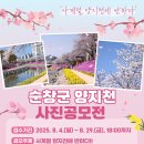 순창꽃 이미지