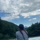 [제천여행] 레스트리 앤 포레스트 리솜 (RESTREE and FOREST RESOM) 해브나인 웰니스 스파 후기