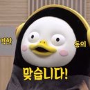 얌차