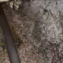 하수구막힘싱크대막힘변기뚫어주는곳배수구배관역류해빙악취제거 이미지
