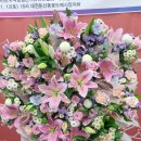 365게임랜드 이미지