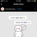 낭만고양이