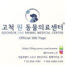 고척 원 동물의료센터 이미지