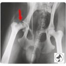 지누동물병원 이미지