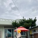[제주 서귀포/안덕 숙소]한적한 마을에 있는 ‘별바당’ 리뷰