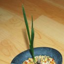 자산동011 이미지