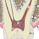 성복정원치과의원 이미지