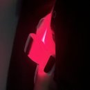 신사역 다이어트 한의원 팔뚝 노블쉐이프 셀룰라이트제거 주사 4회 솔직후기