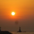 대양초교 이미지