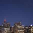 하버시티 | [호주] 소피텔 시드니 달링 하버 수페리어룸 시티뷰 후기