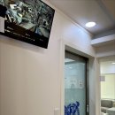 24시 유앤미동물병원 이미지