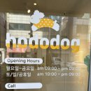 애견카페&호텔 댕댕당 | [인천 연수동] 실내 인천 애견카페 &#39; 호도독 &#39; 방문 후기 | 호텔, 유치원, 미용까지 가능