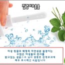 에폴리시스템