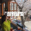 달빛DALBBIT | [춘천벚꽃명소/강원대카페] 만개한 벚꽃보며 브런치타임, '정원달빛' 브런치세트 후기