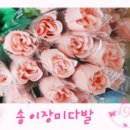 에스뷰티풀#