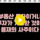 정유년(丁酉年)에 주식투자(株式投資)에 실패(失敗)하였다 이미지