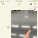 피씨오 이미지