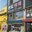 선도막회