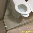 팀한