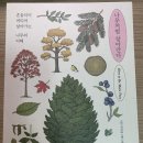 (주)알피스페이스 이미지