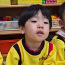 멍멍아 까꿍 이미지