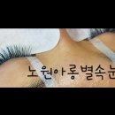 아롱별속눈썹