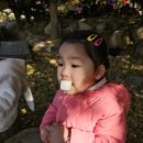 시립별숲어린이집 이미지