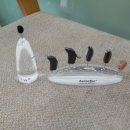 한림보청기 이미지