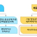 홍순식품 이미지
