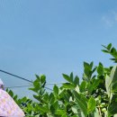 해오름농장-2 이미지