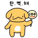 영천애견미용 이미지