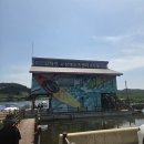 카페둔치 | 양양 가볼만한곳 이색 코스 남대천 수상레포츠센터 전동배 카페 둔치 솔직 후기