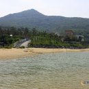 서해바다 이미지