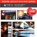 아이러브독 서초점 이미지