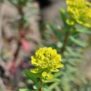 제주 올레길 6코스 이미지