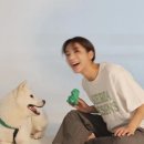나의 단짝 반려동물 이미지