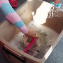 코타키나발루 자유여행 일정 낚시투어로 결정