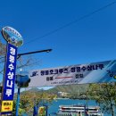청풍호 크루즈. 충주호 관광 유람선 탑승 후기. (제천 청풍나루 - 단양 장회나루 코스)