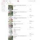 혼다예초기 시동거는 방법, 추천하는 예초기 후기